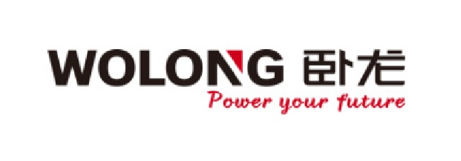 卧龙电气驱动集团股份有限公司